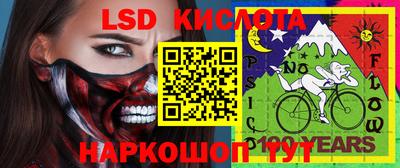 кокс Кингисепп