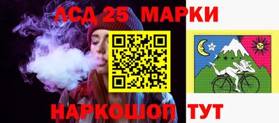 кокс Кингисепп