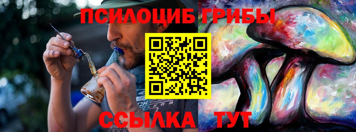 Галлюциногенные грибы Psilocybine cubensis Керчь